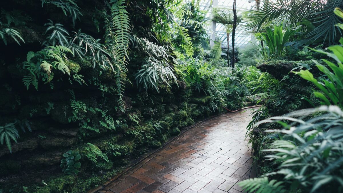 Botanischer Garten Linz Ein Paradies für Pflanzenliebhaber in der Stadt Linz