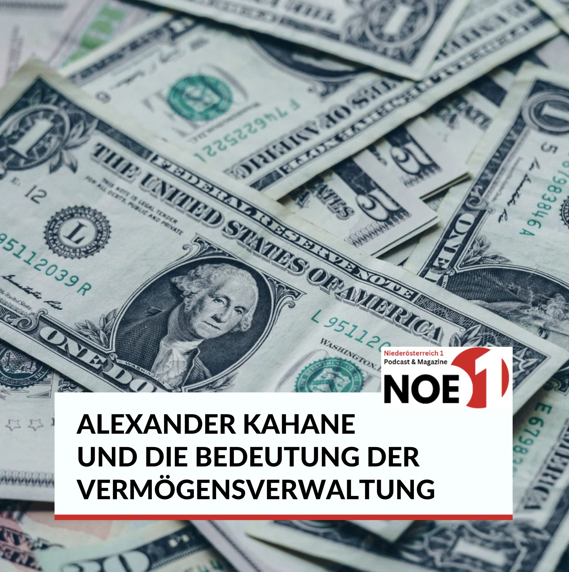 Alexander Kahane und die Bedeutung der Vermögensverwaltung