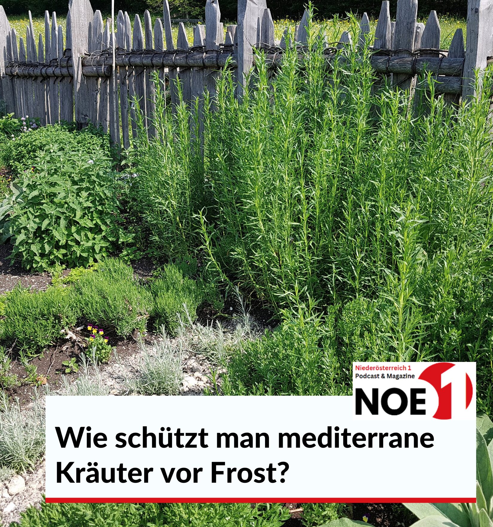 Frostschutzabdeckungen Für Den Außenbereich, Sch? Produktbild-Vorschau 4
