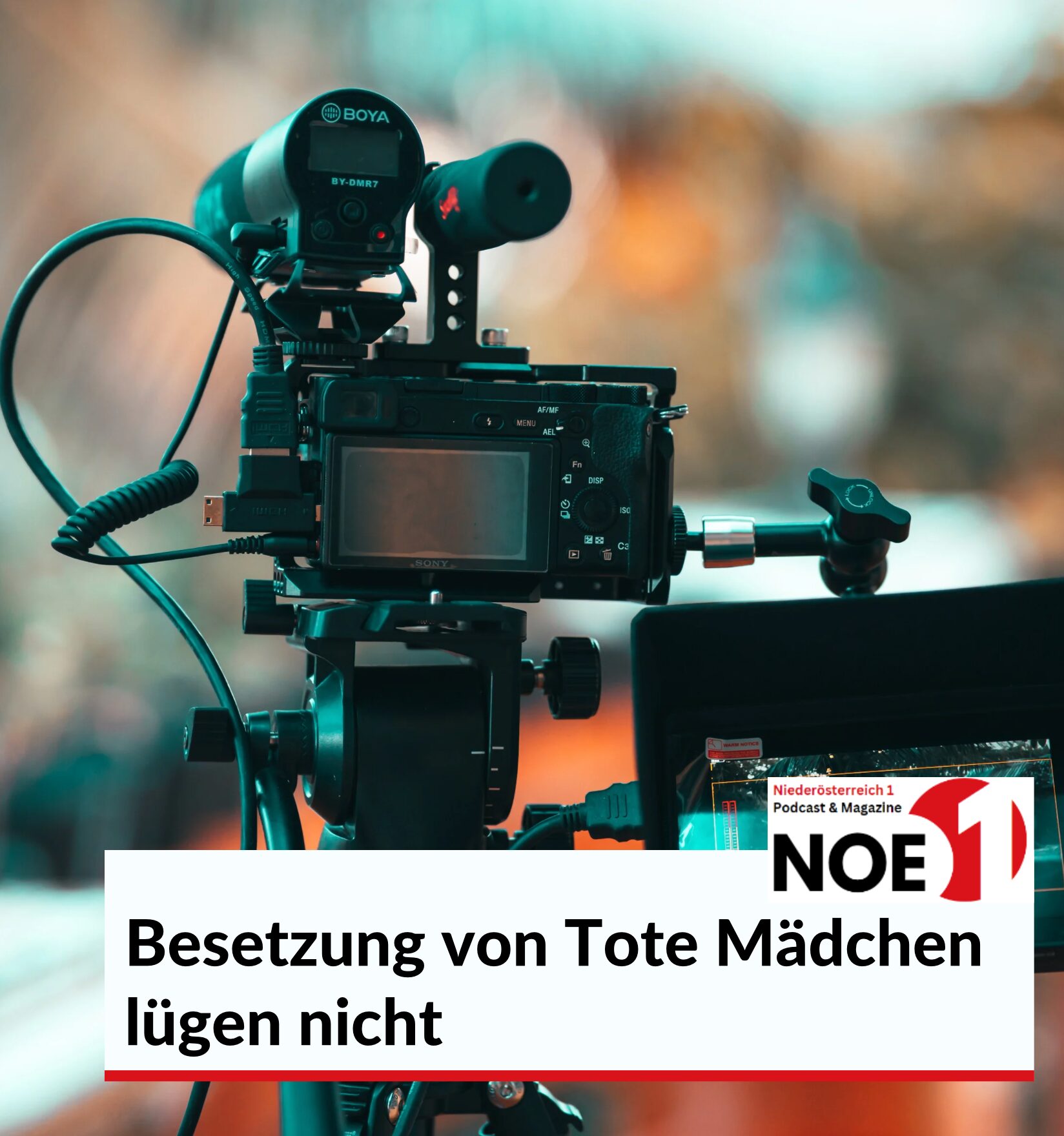 Besetzung von Tote Mädchen lügen nicht