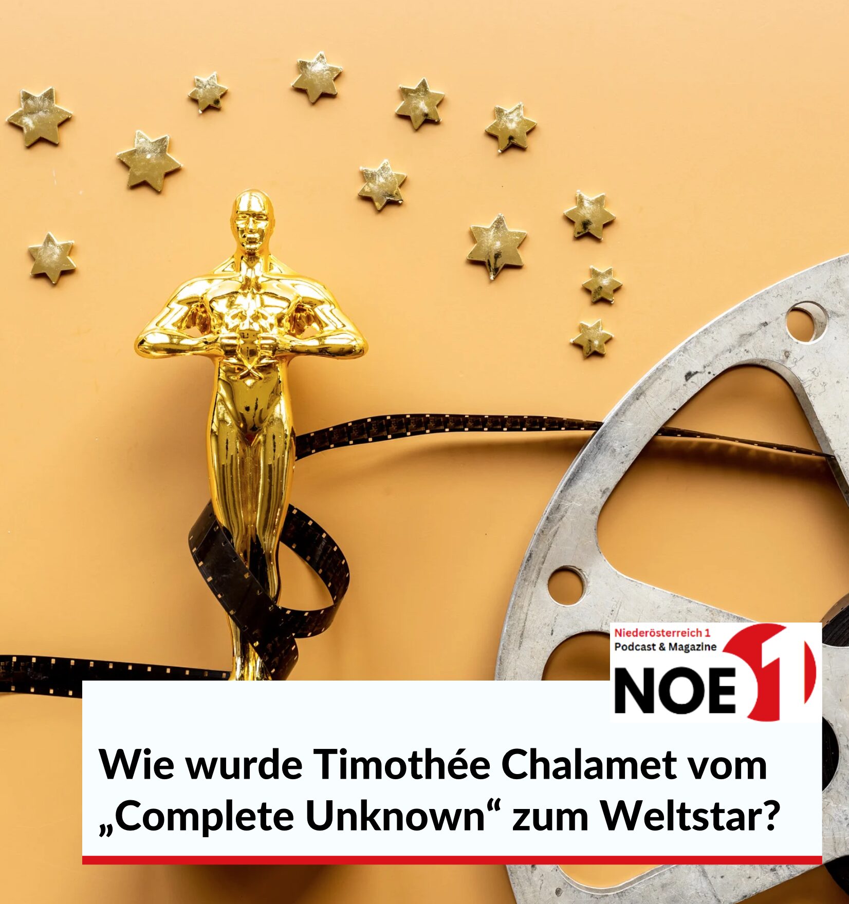 Wie wurde Timothée Chalamet vom „Complete Unknown“ zum Weltstar?