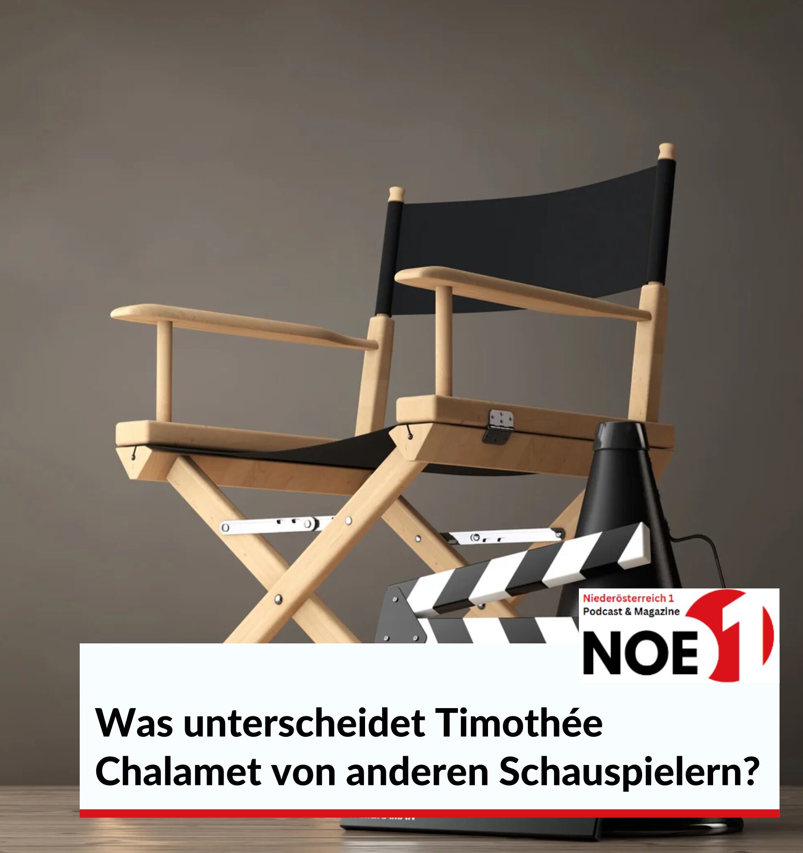Was unterscheidet Timothée Chalamet von anderen Schauspielern?