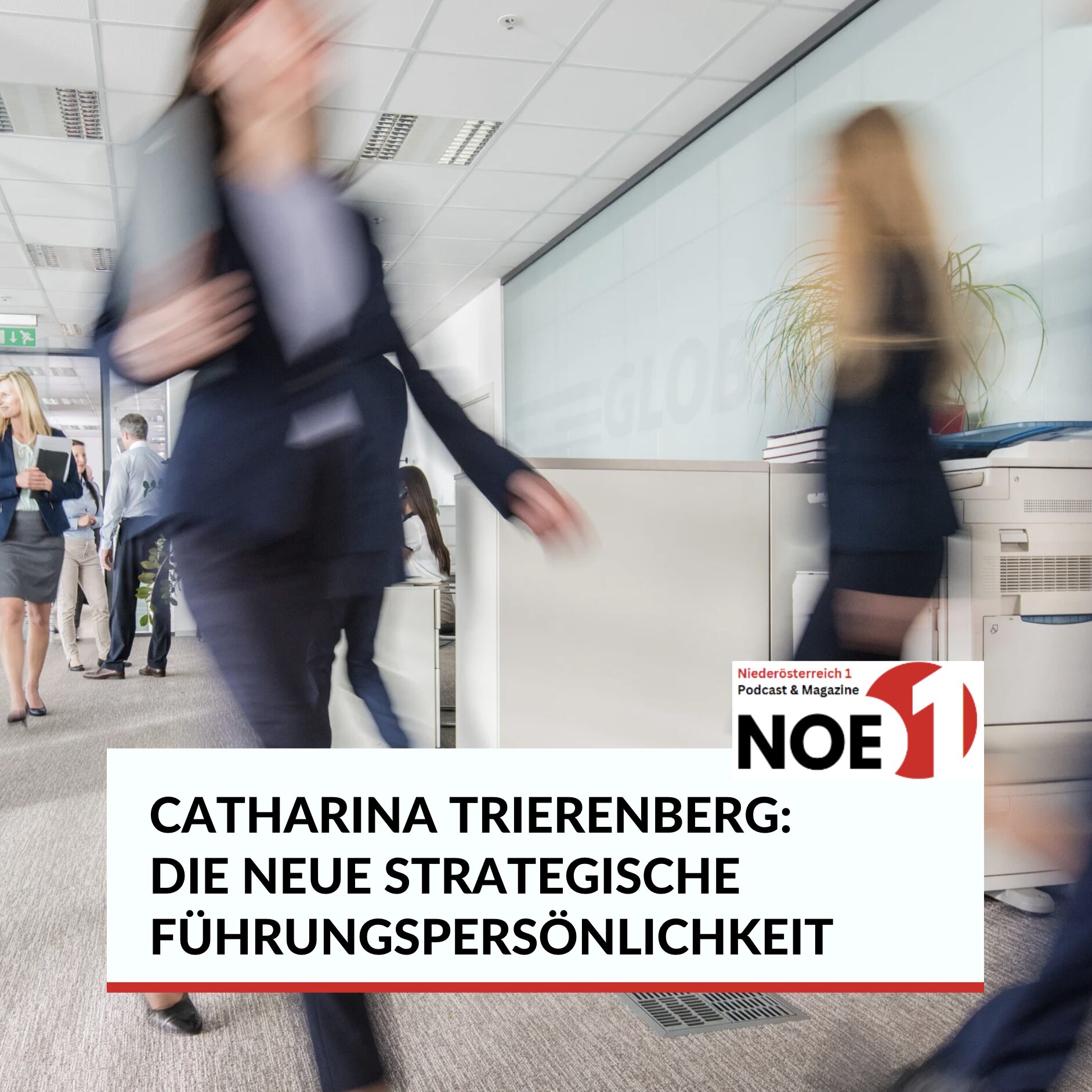 Catharina Trierenberg: Die neue strategische Führungspersönlichkeit