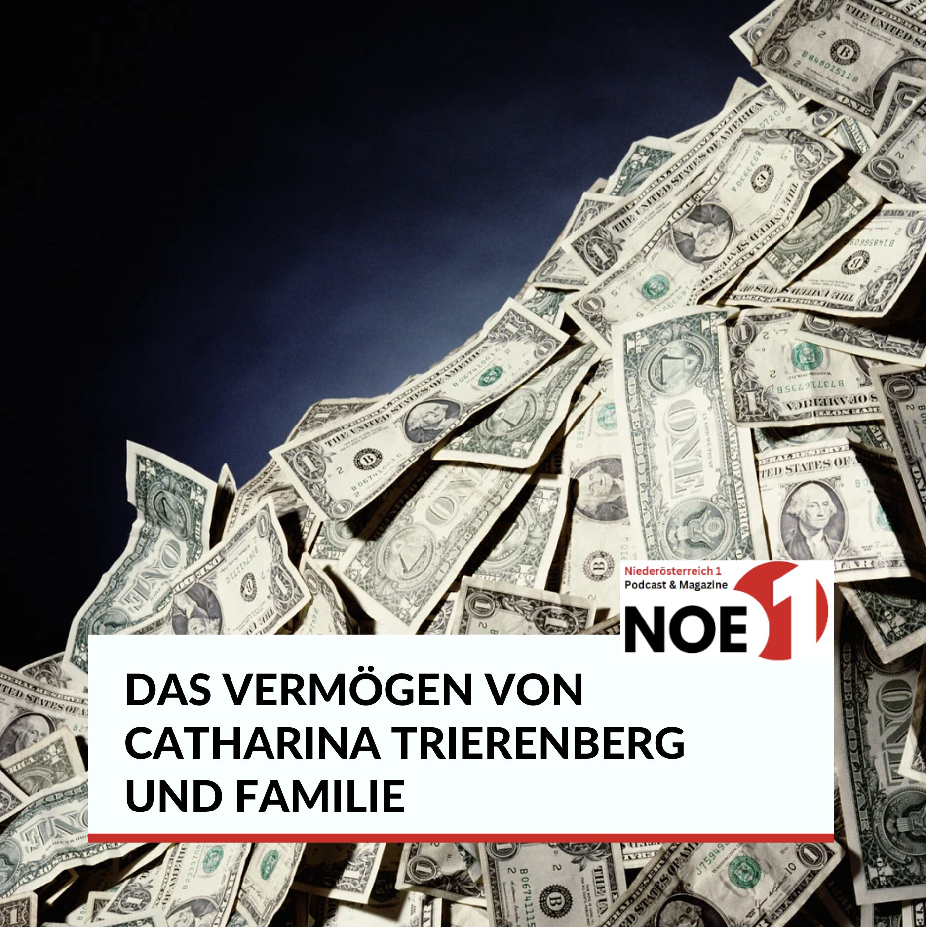 Das Vermögen von Catharina Trierenberg und Familie