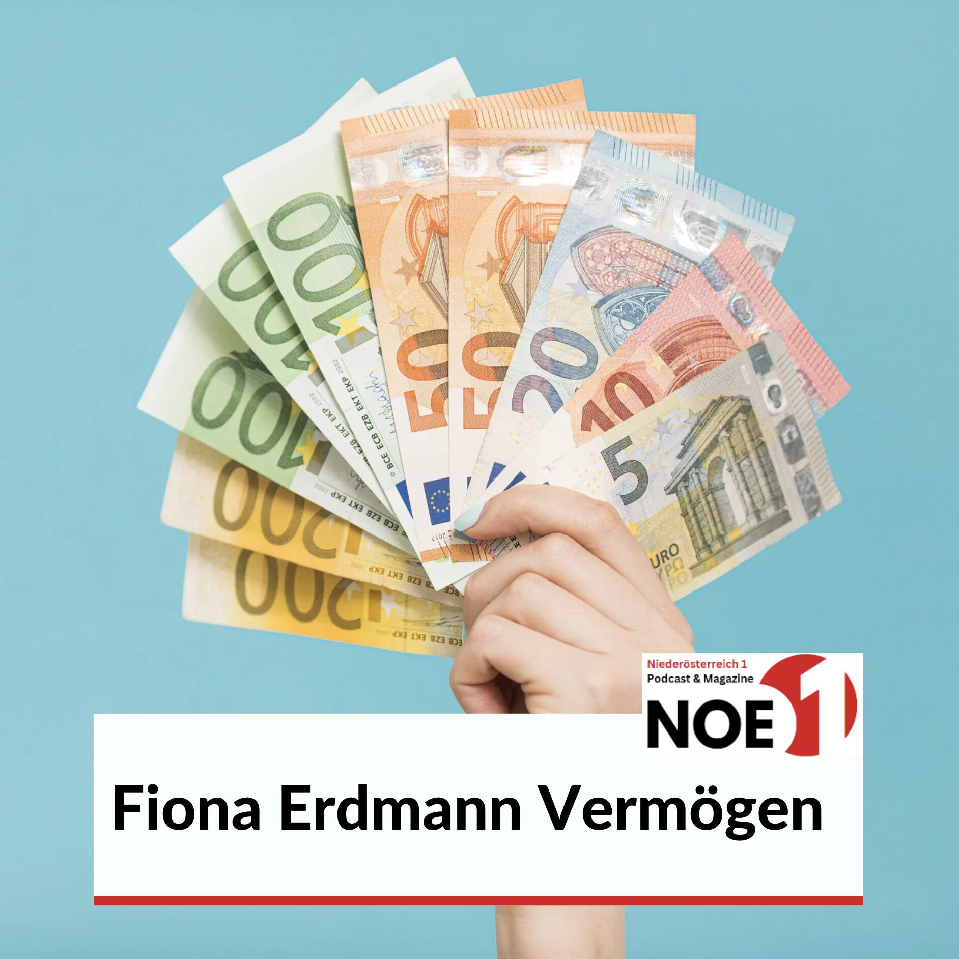Fiona Erdmann Vermögen