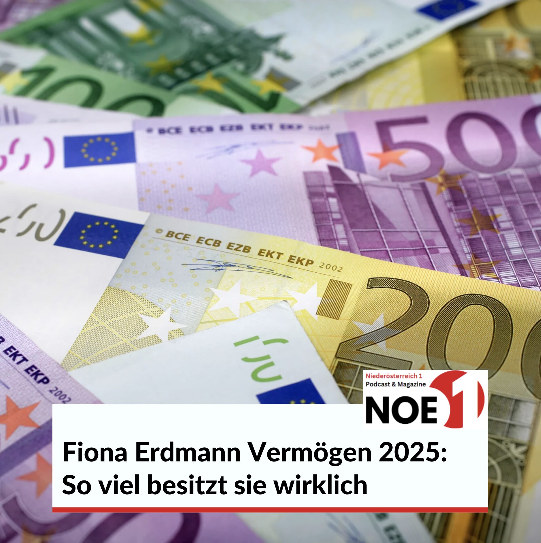 Fiona Erdmann Vermögen 2025: So viel besitzt sie wirklich