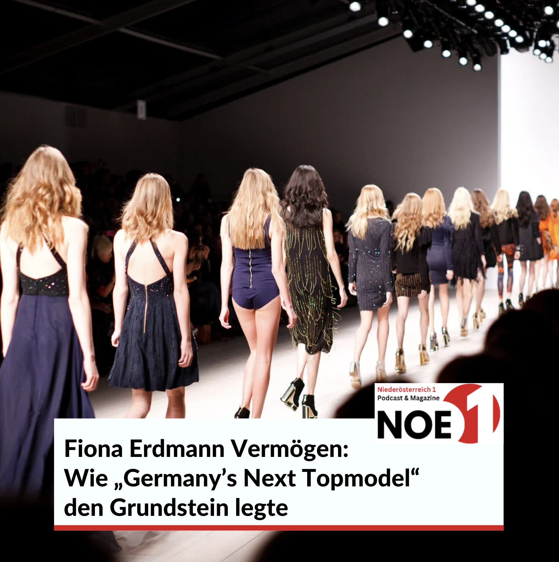 Fiona Erdmann Vermögen: Wie „Germany’s Next Topmodel“ den Grundstein legte