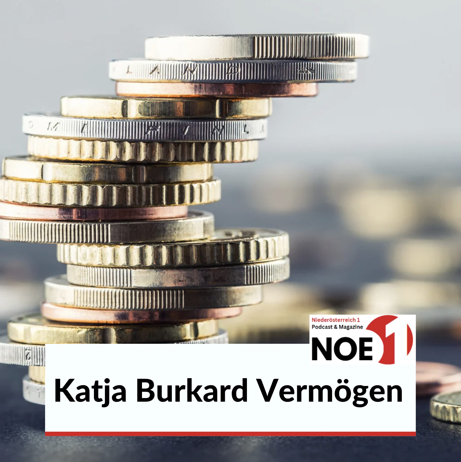 Katja Burkard Vermögen