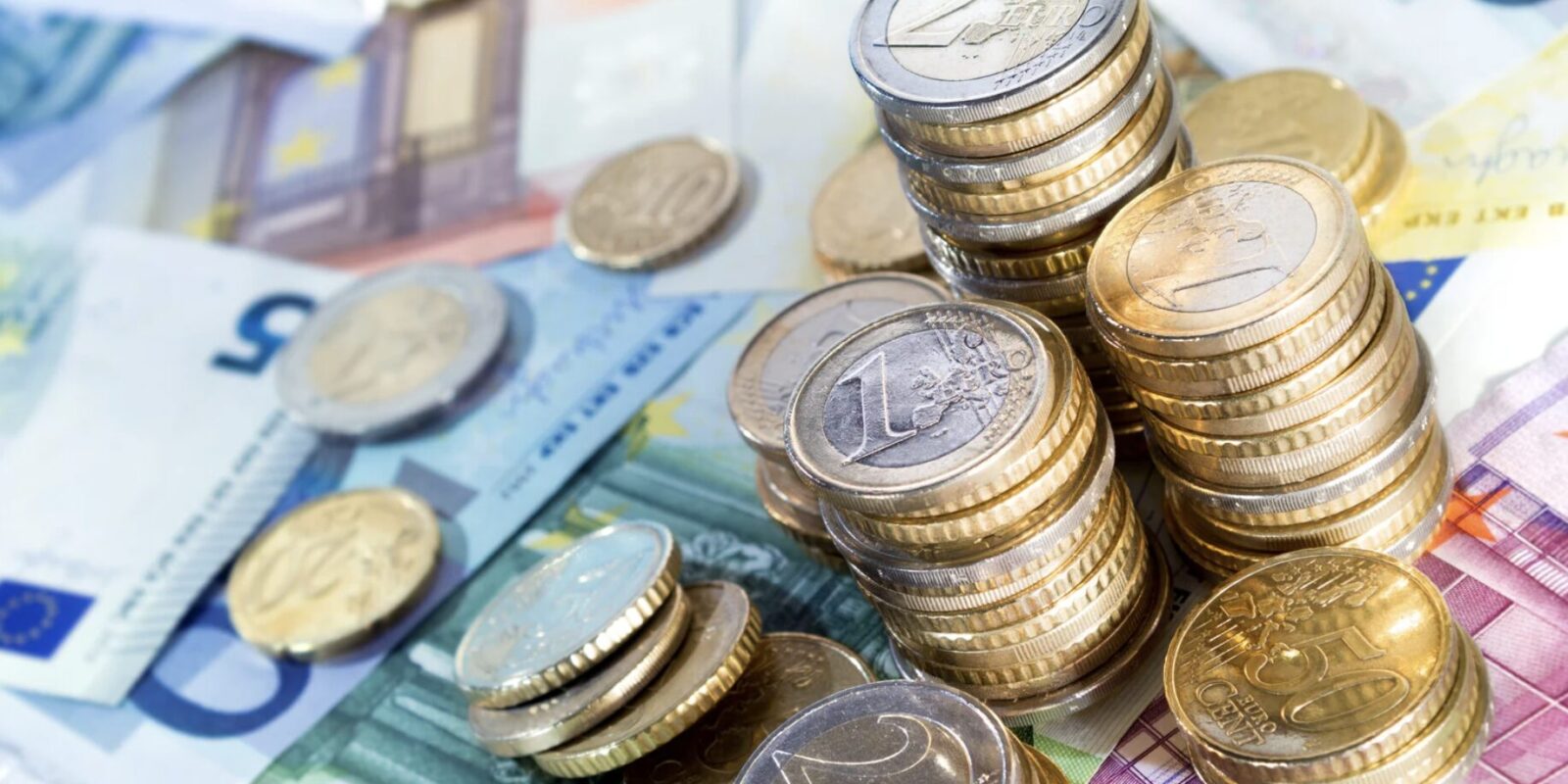 Katja Burkard Vermögen