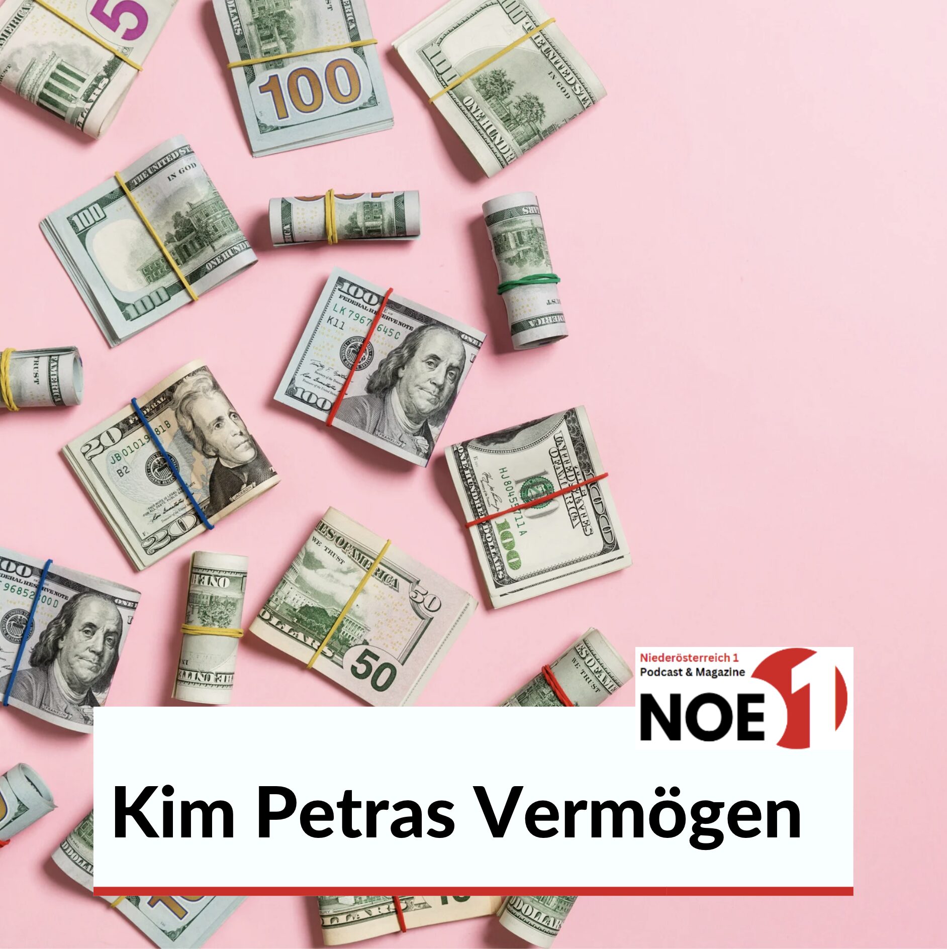 Kim Petras Vermögen 