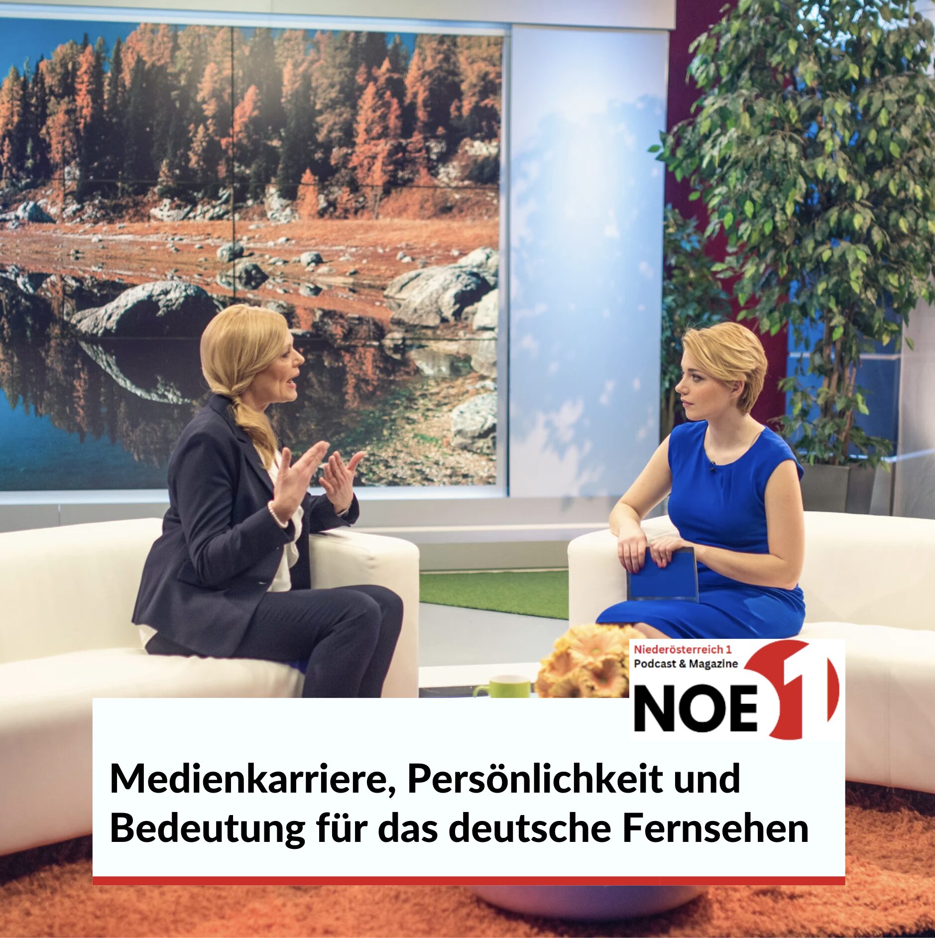 Medienkarriere, Persönlichkeit und Bedeutung für das deutsche Fernsehen