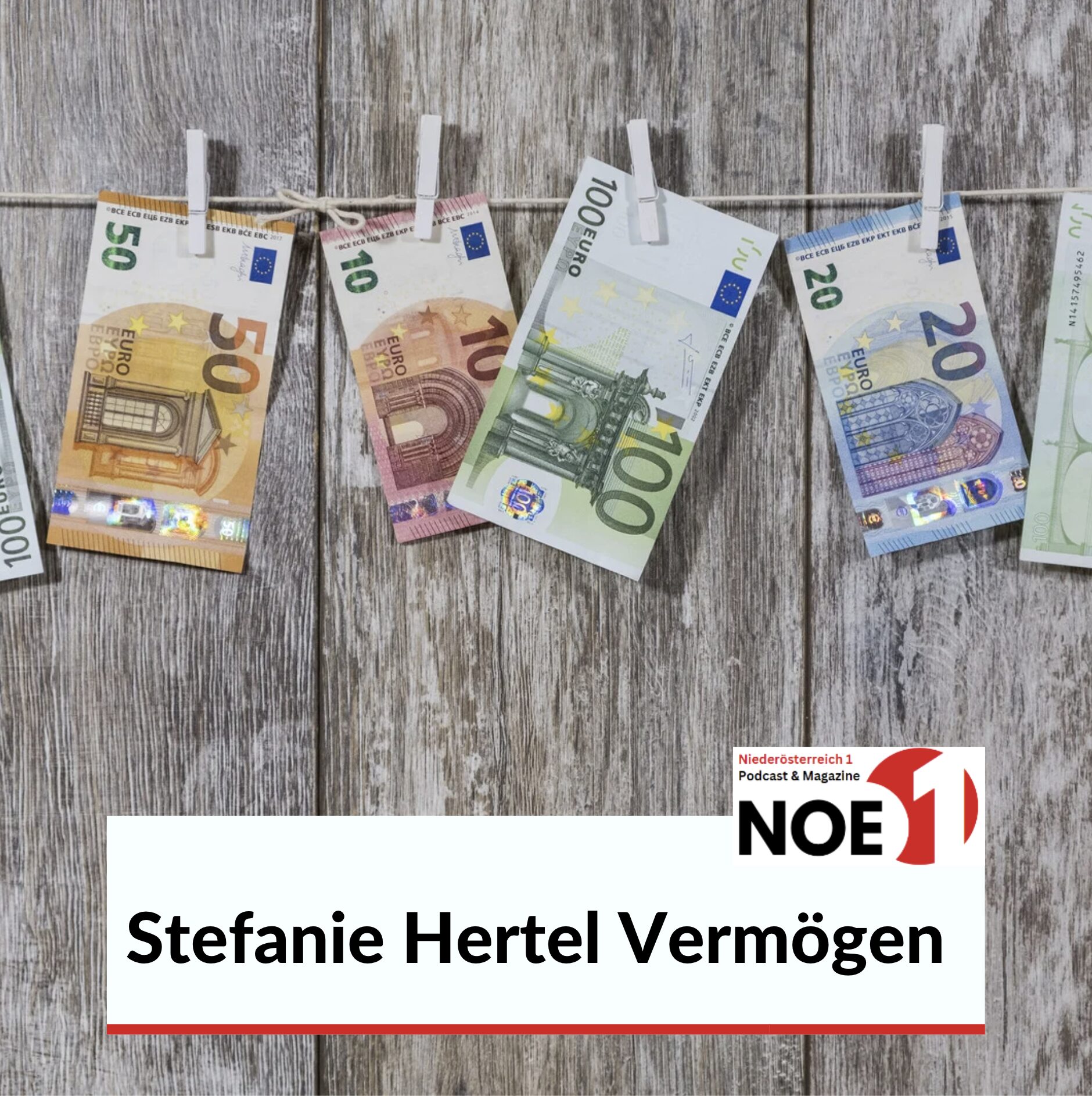 Stefanie Hertel Vermögen 