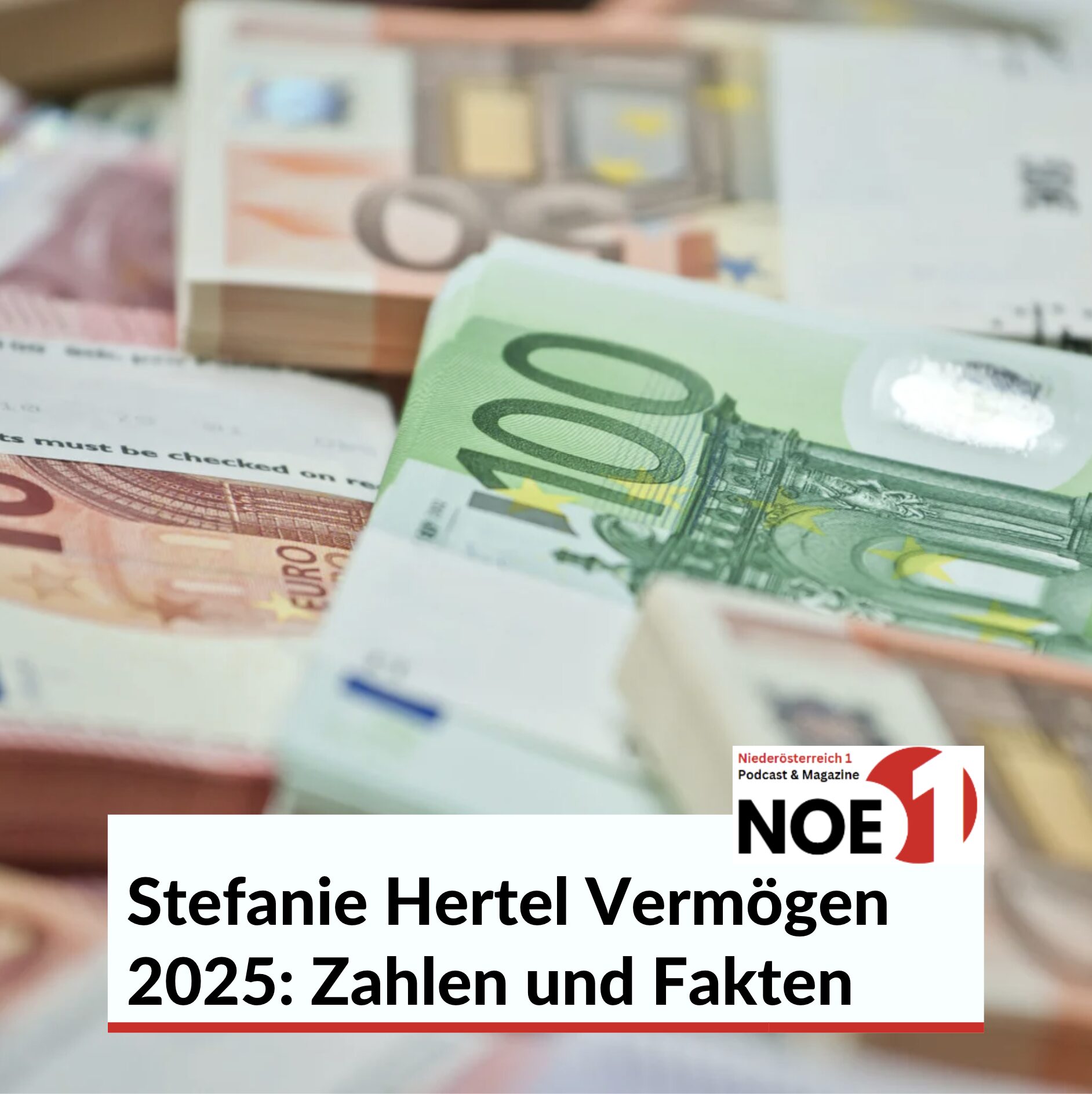Stefanie Hertel Vermögen 2025: Zahlen und Fakten