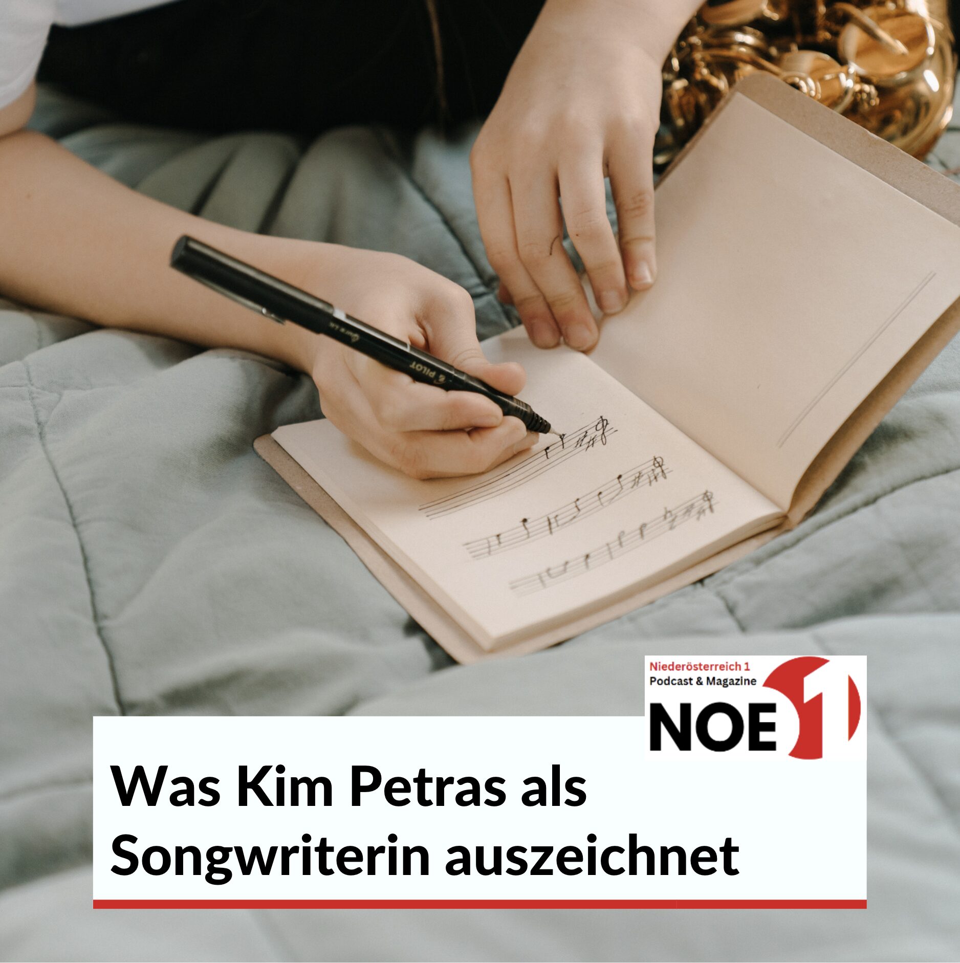 Was Kim Petras als Songwriterin auszeichnet