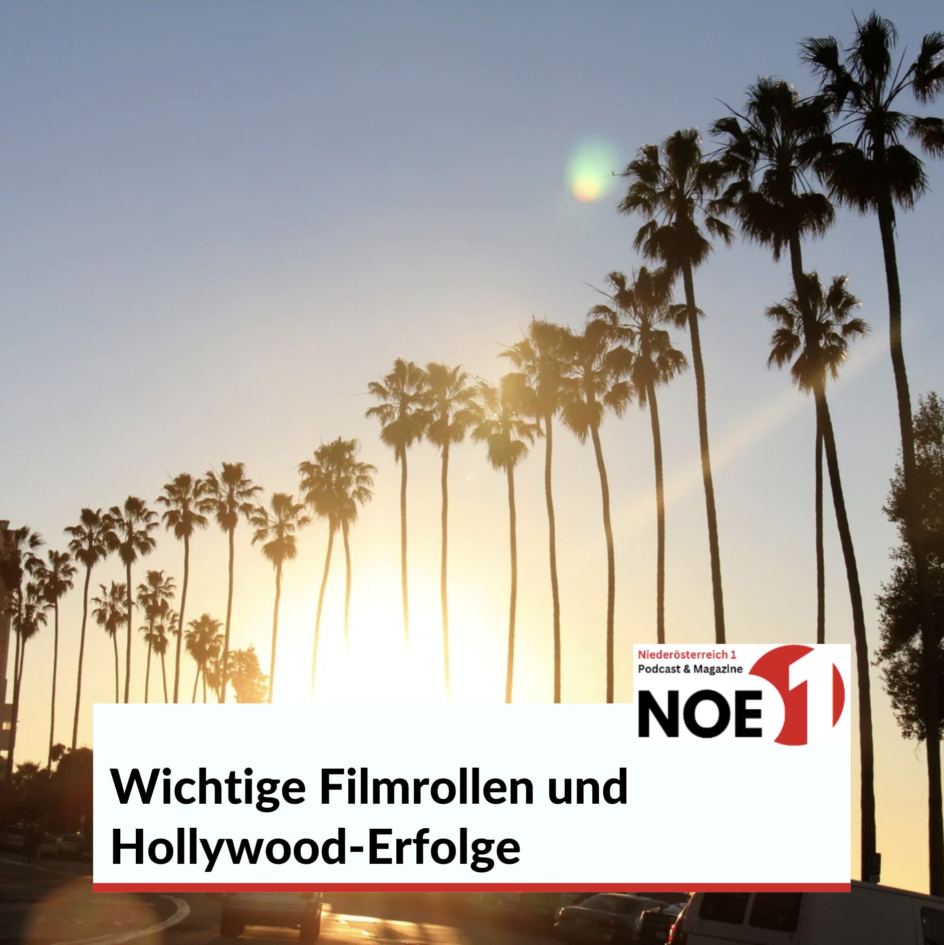 Wichtige Filmrollen und Hollywood-Erfolge