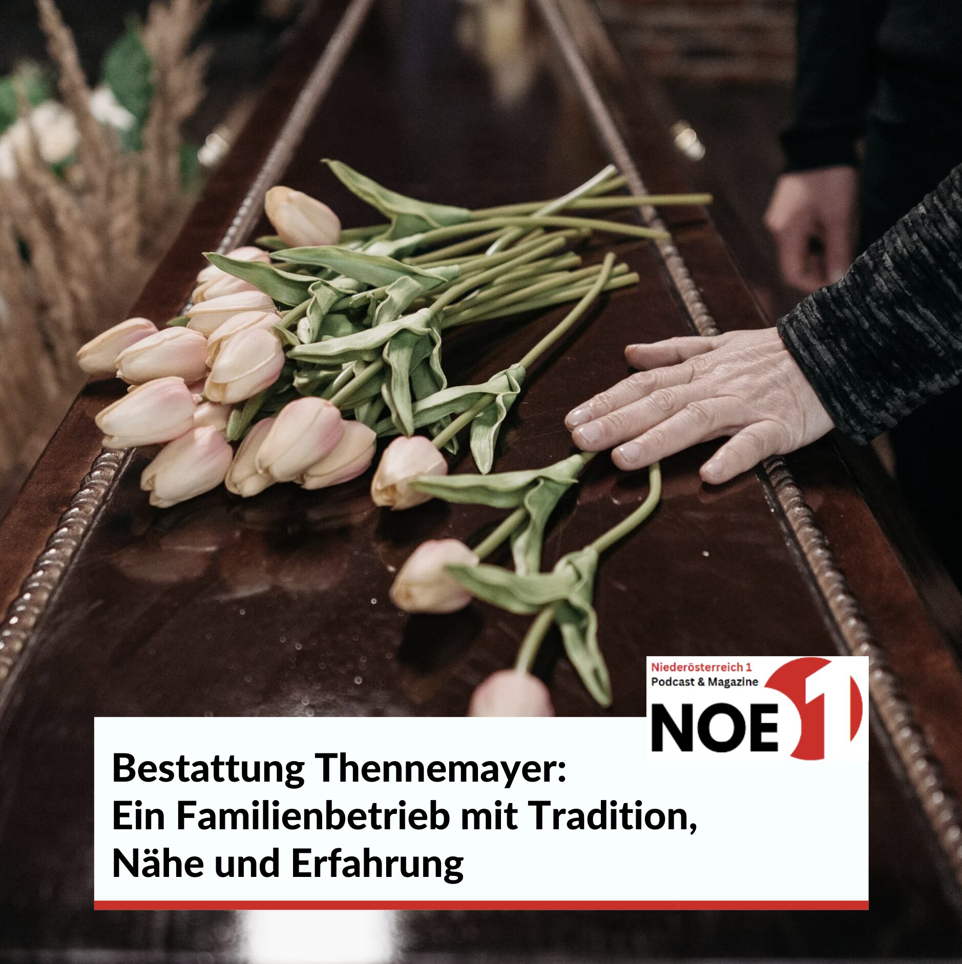 Bestattung Thennemayer: Ein Familienbetrieb mit Tradition, Nähe und Erfahrung
