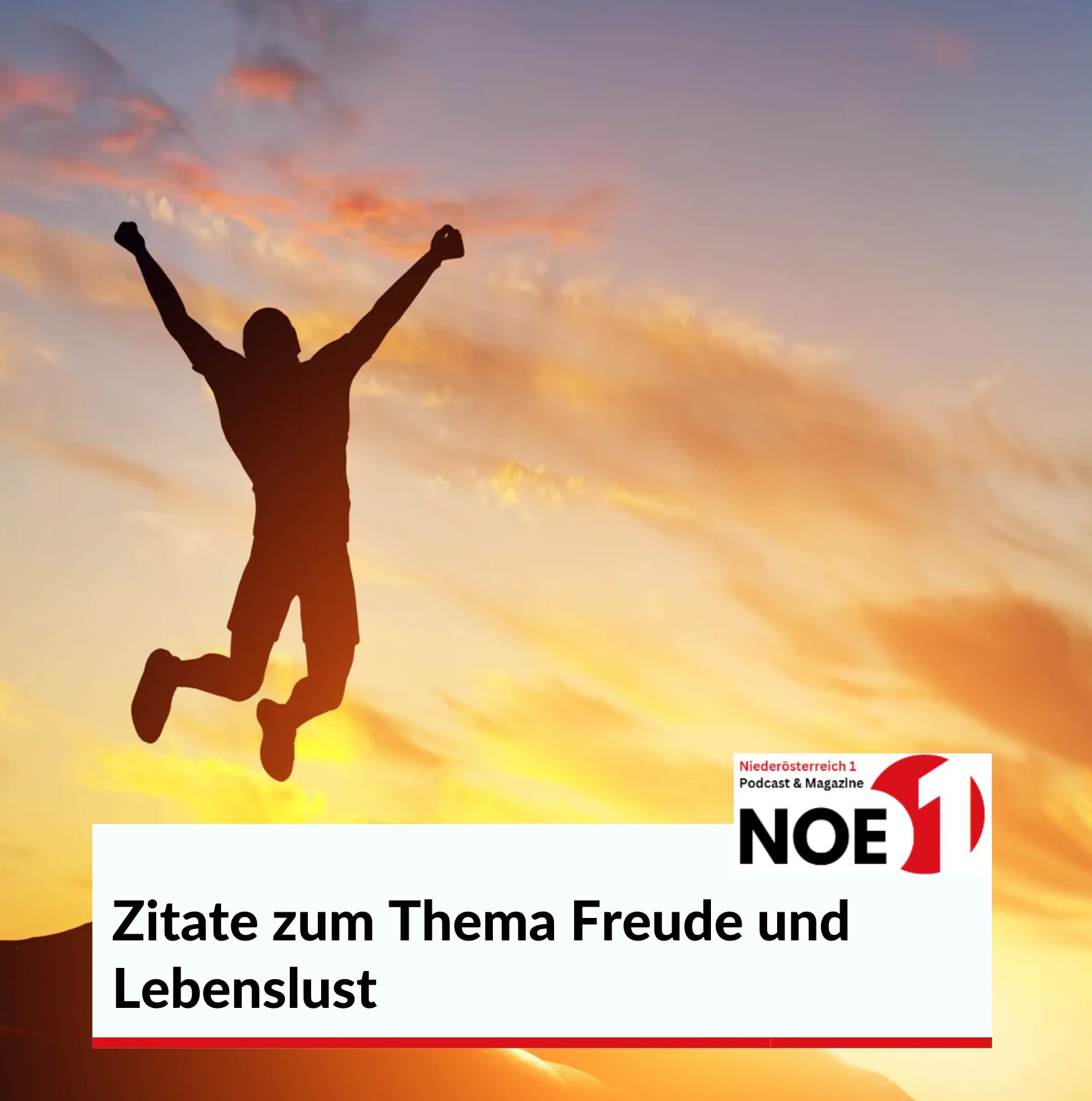 Zitate zum Thema Freude und Lebenslust