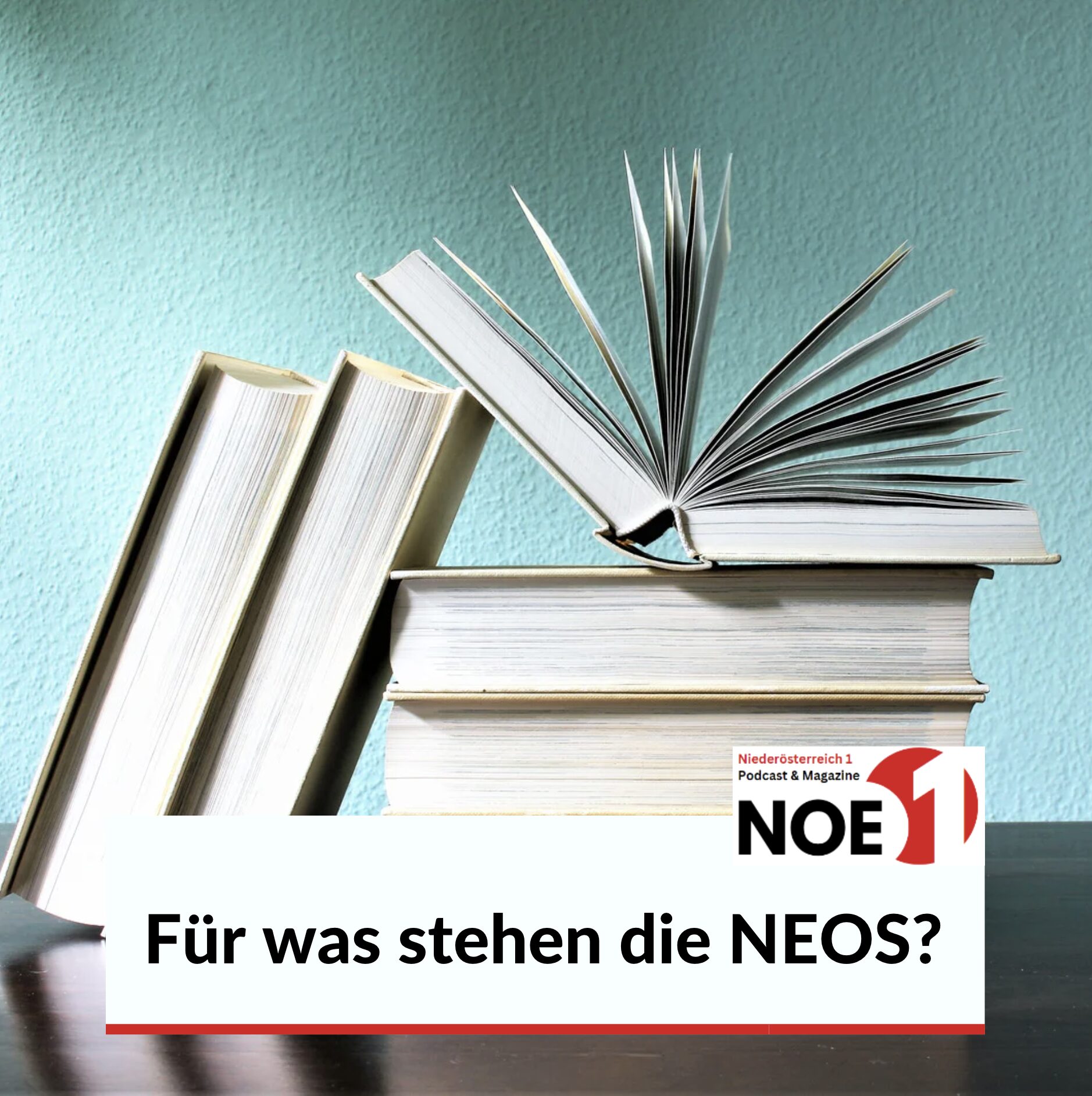 Für was stehen die NEOS?