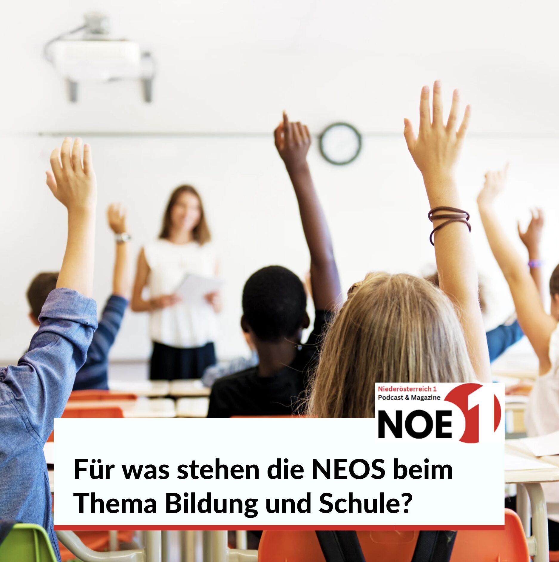 Für was stehen die NEOS beim Thema Bildung und Schule?