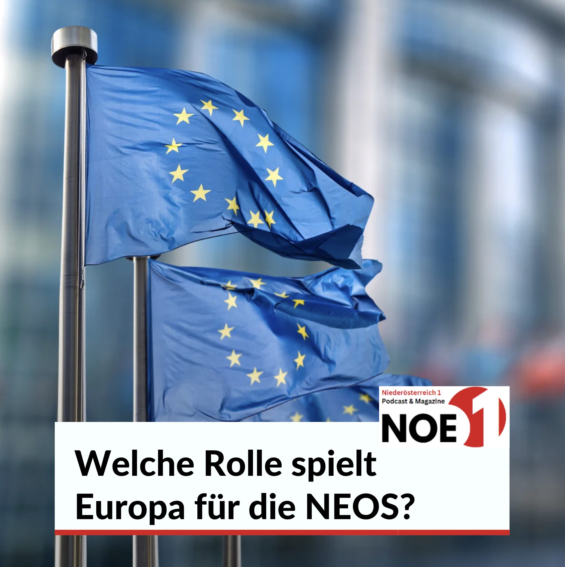Welche Rolle spielt Europa für die NEOS?