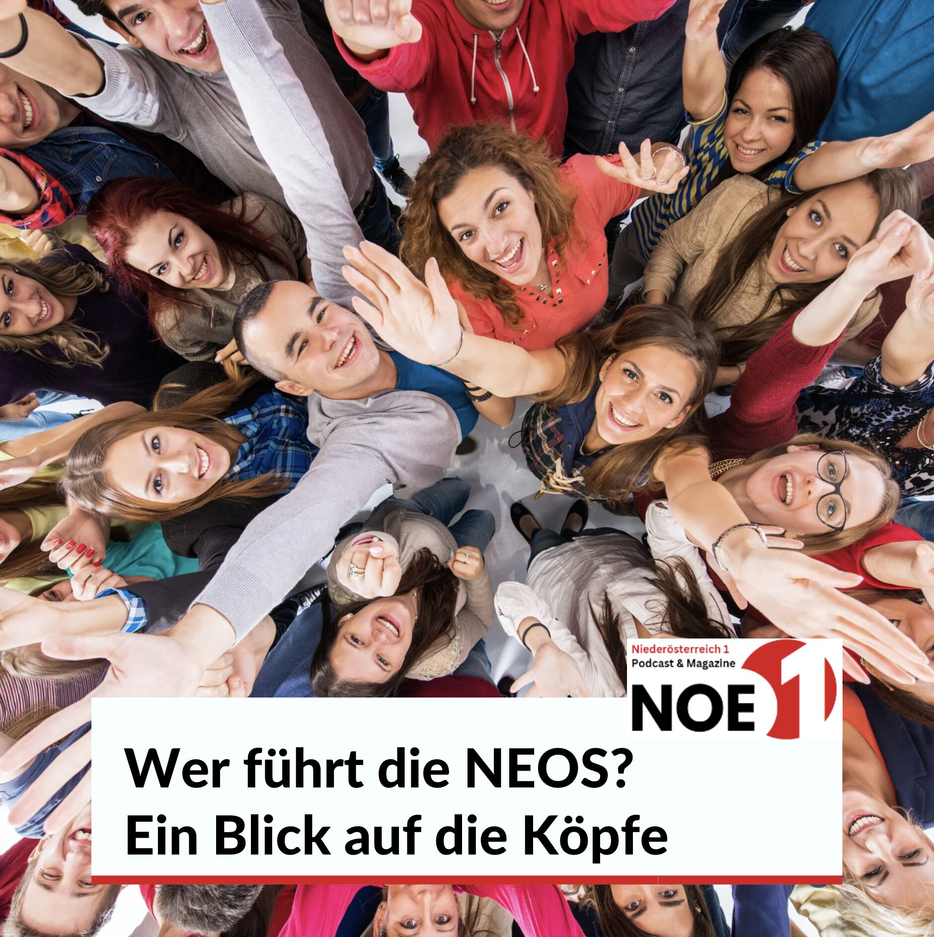 Wer führt die NEOS? Ein Blick auf die Köpfe