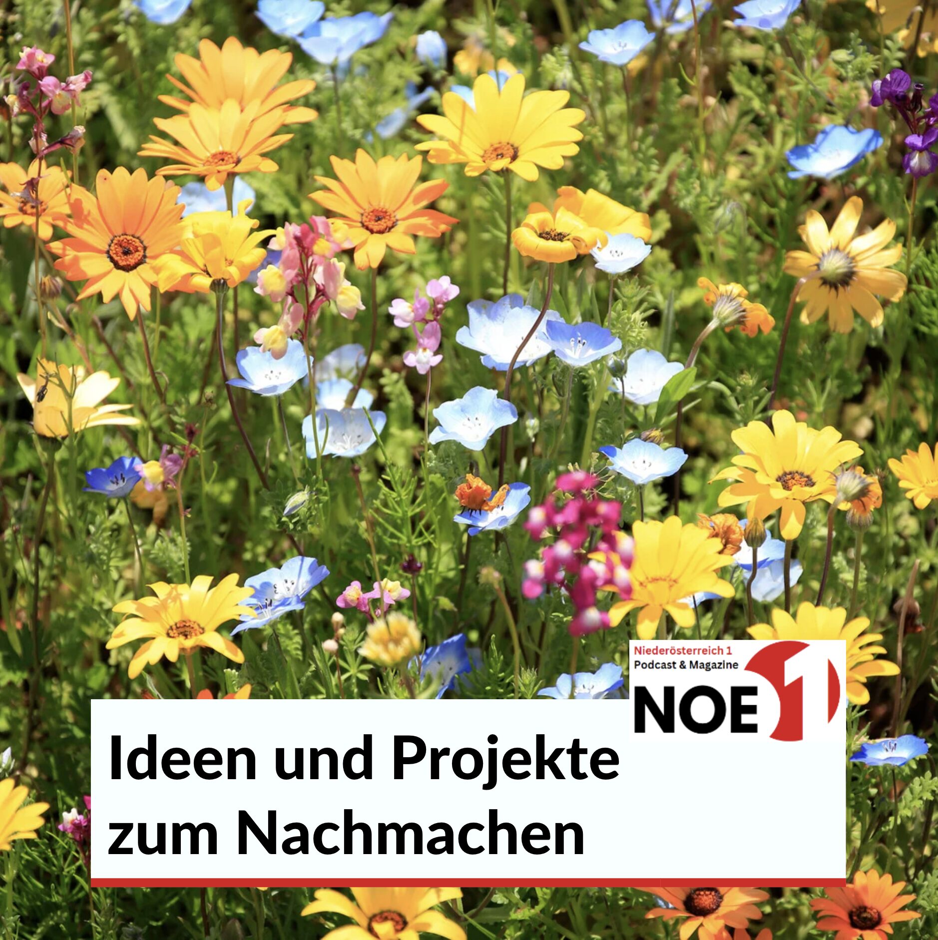 Ideen und Projekte zum Nachmachen