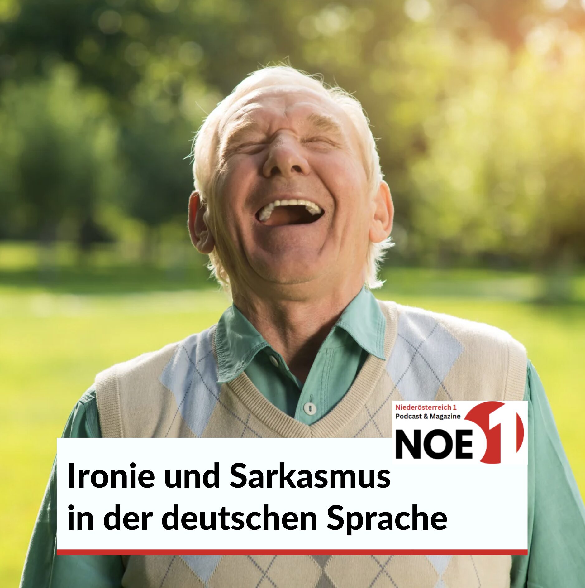 Ironie und Sarkasmus in der deutschen Sprache