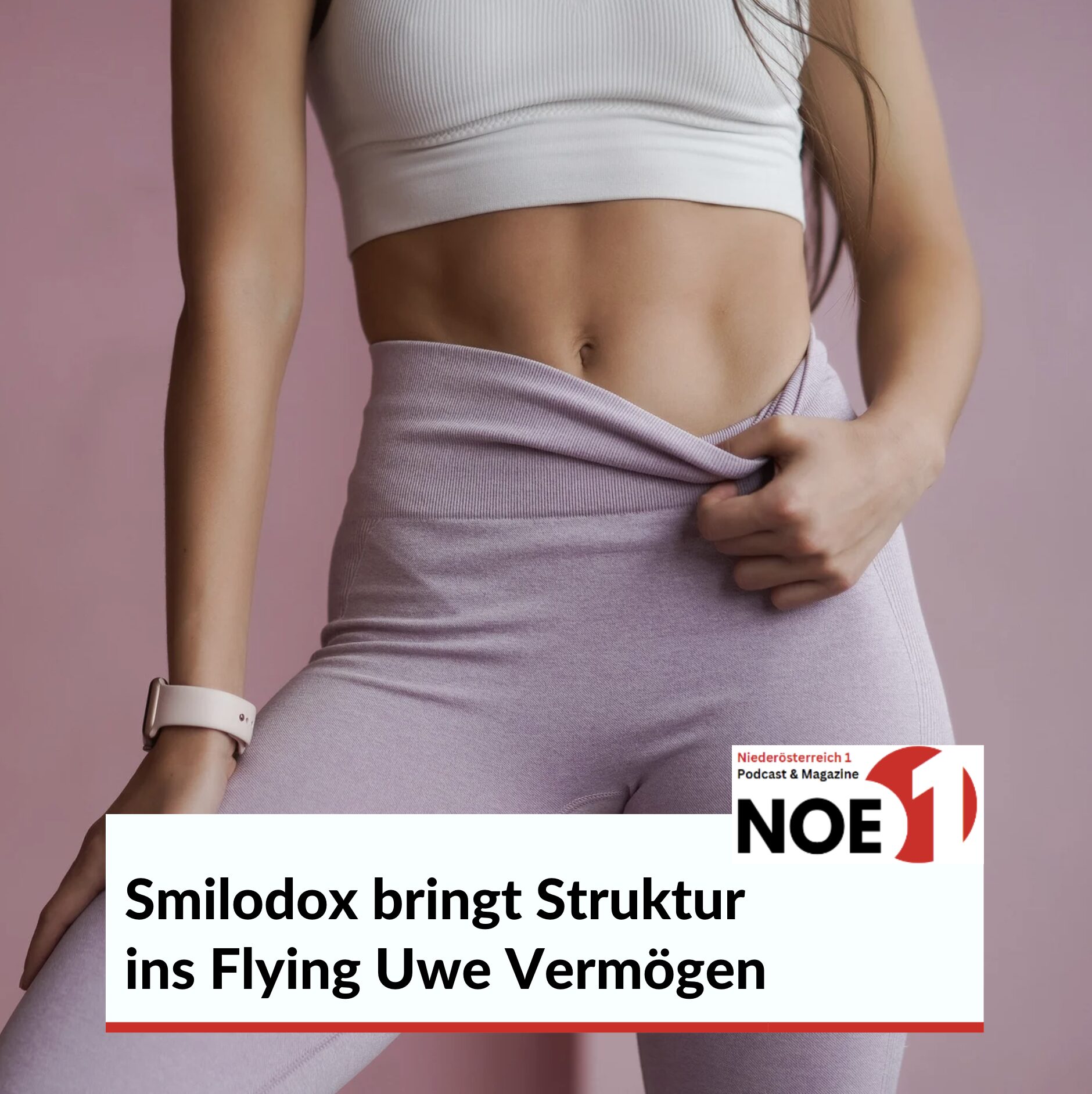 Smilodox bringt Struktur ins Flying Uwe Vermögen