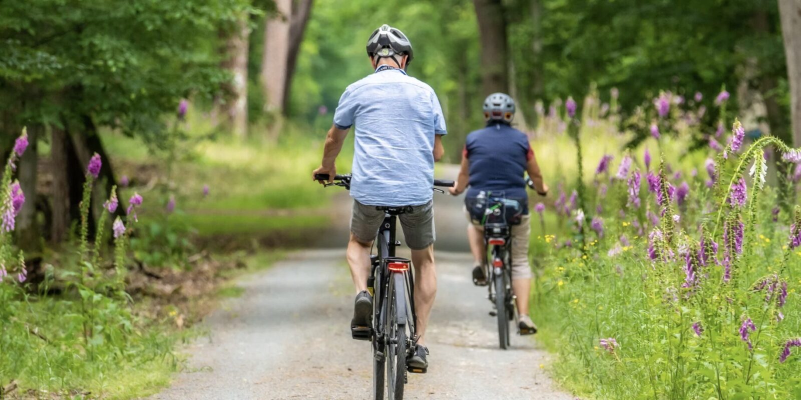 Top 10 Radwege entlang der Donau