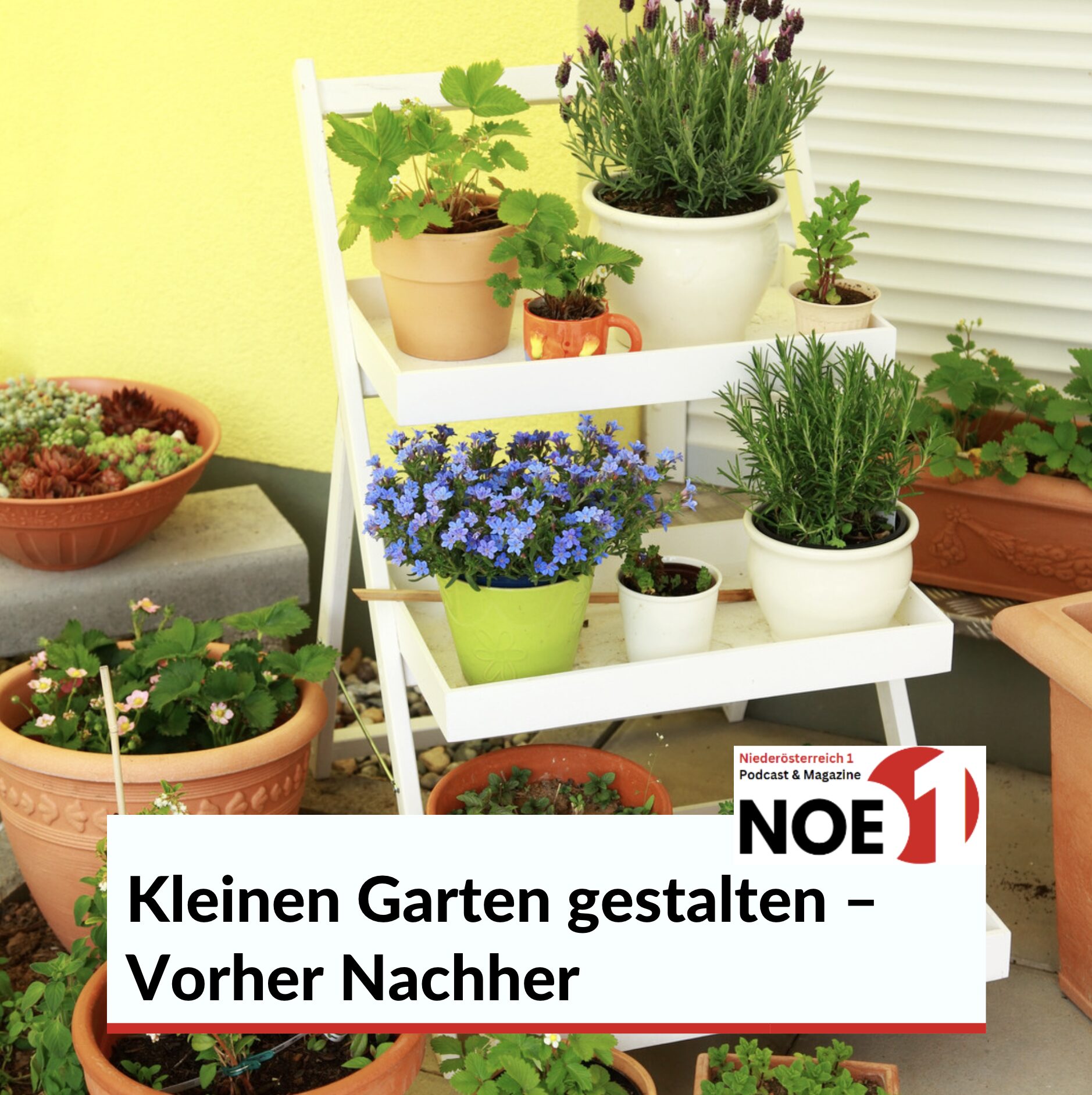 kleinen Garten gestalten – Vorher Nachher