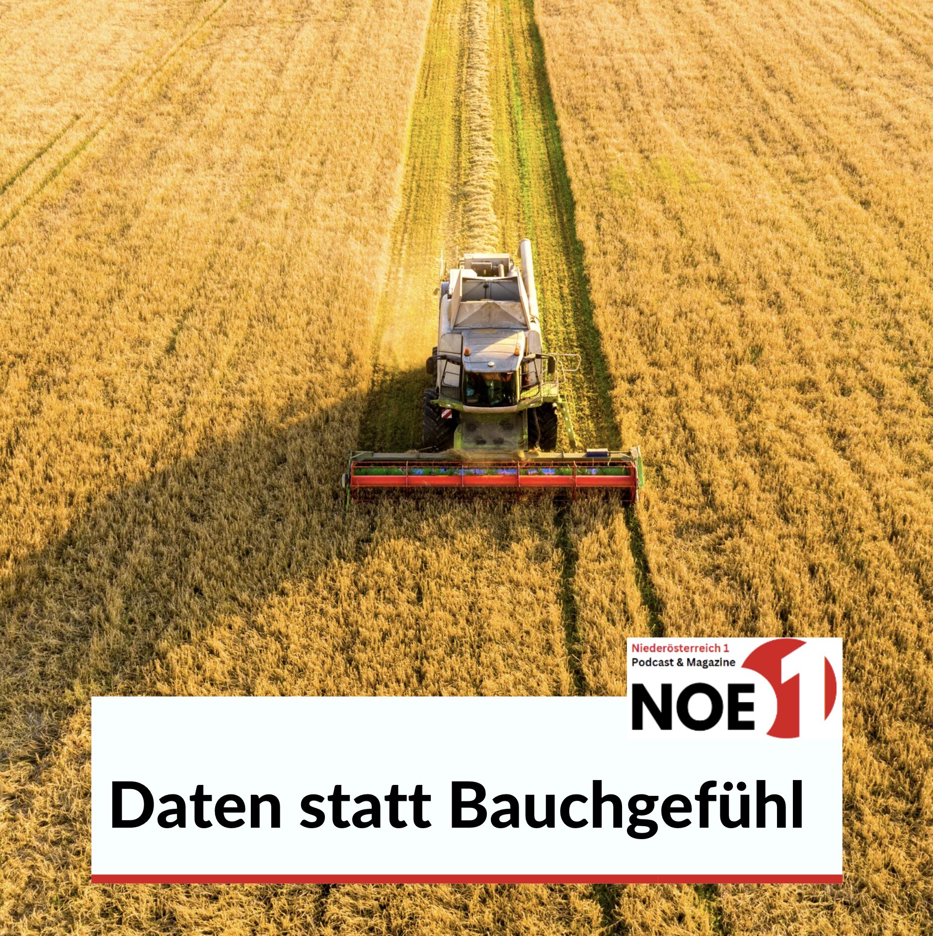 Bauchgefühl bei smarter Landwirtschaft