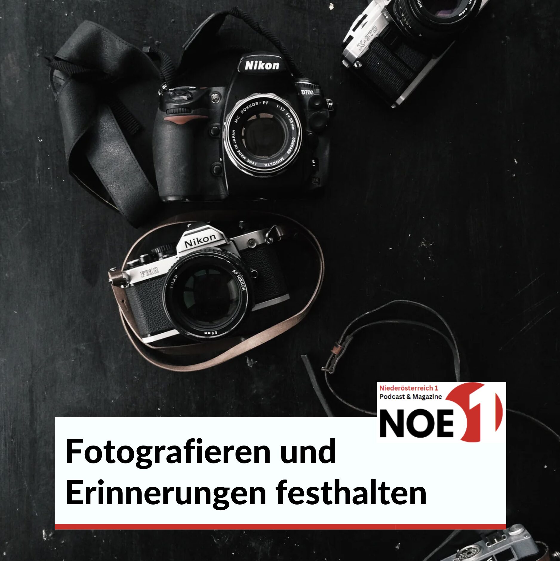 Fotografieren und Erinnerungen festhalten Museum der Illusionen Österreich