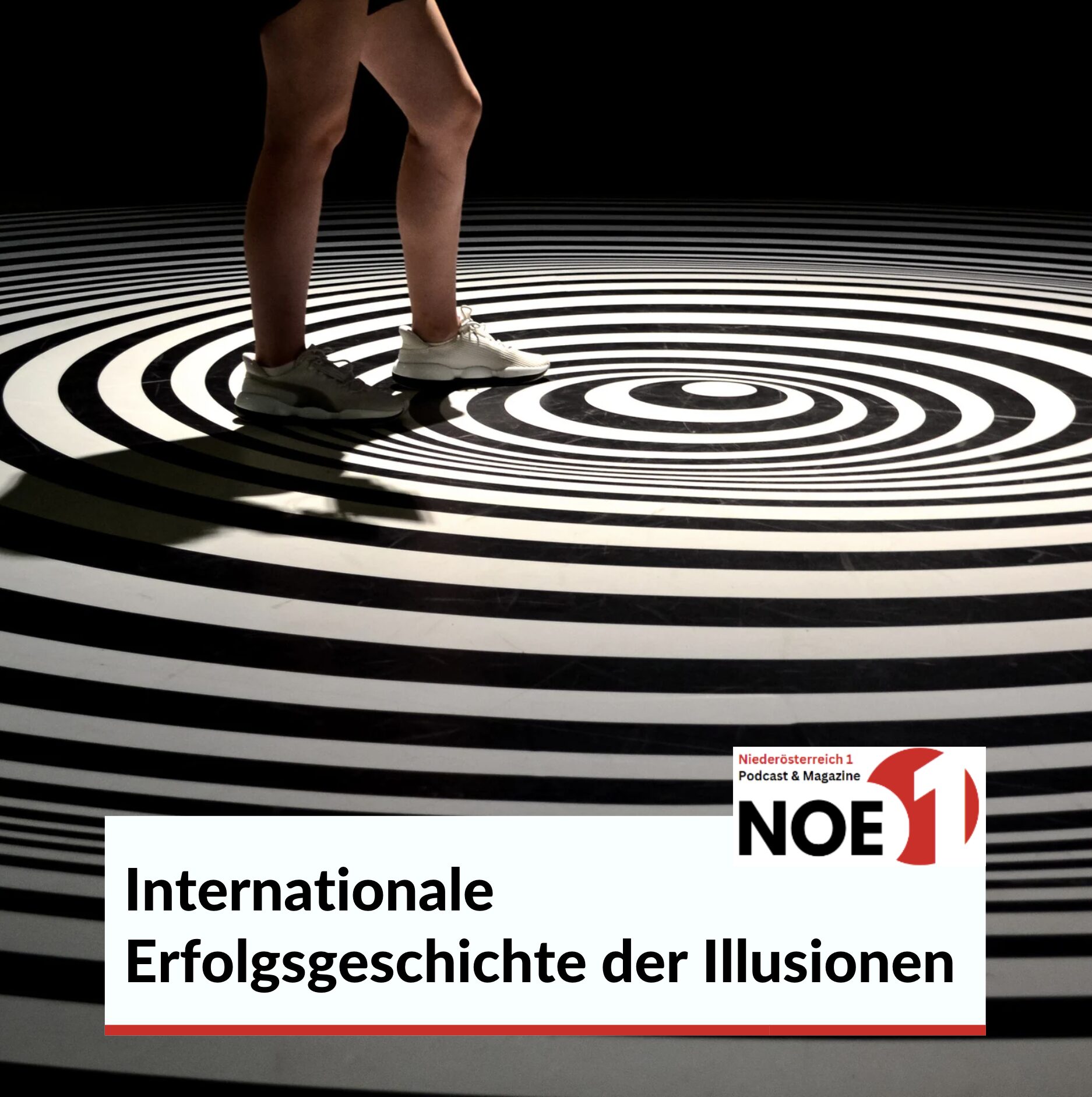Internationale Erfolgsgeschichte der Illusionen Museum Wien