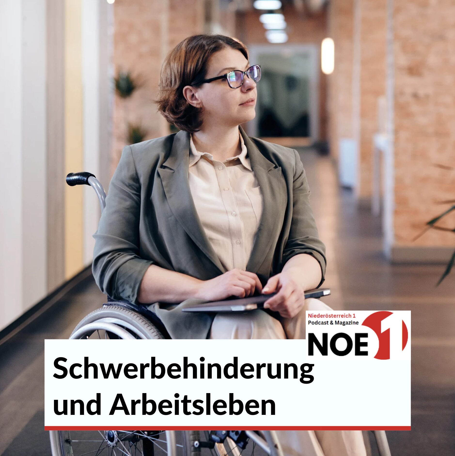Schwerbehinderung und Arbeitsleben in österreich