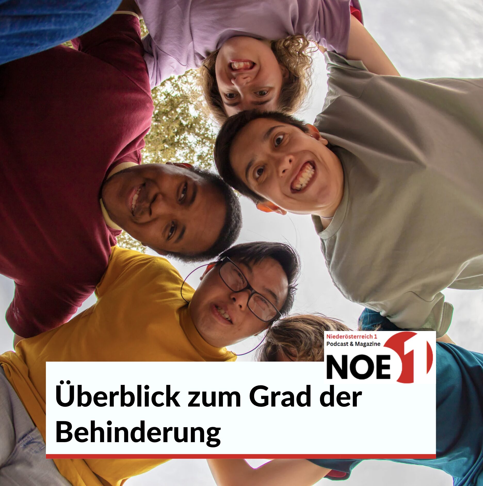 Überblick zum Grad der Behinderung