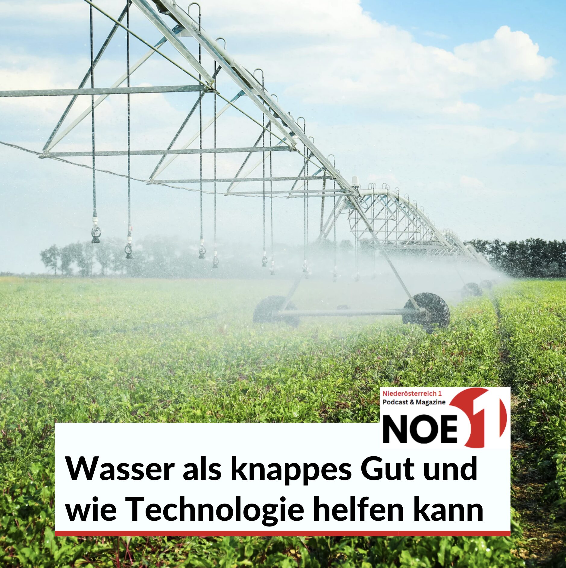 Wasser als knappes Gut und Technologie smarte Landwirtschaft