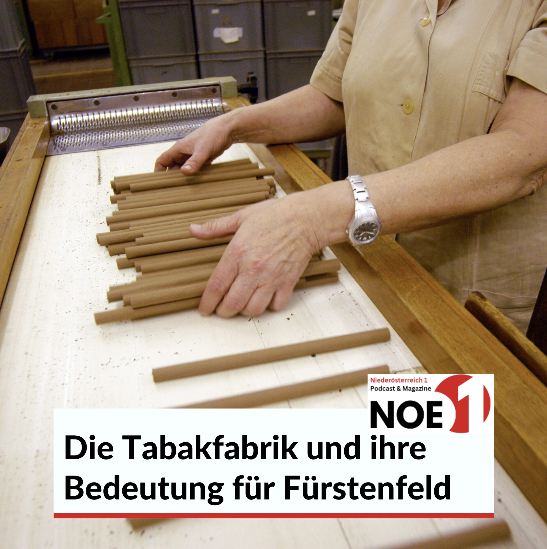 Die Tabakfabrik und ihre Bedeutung für Fürstenfeld