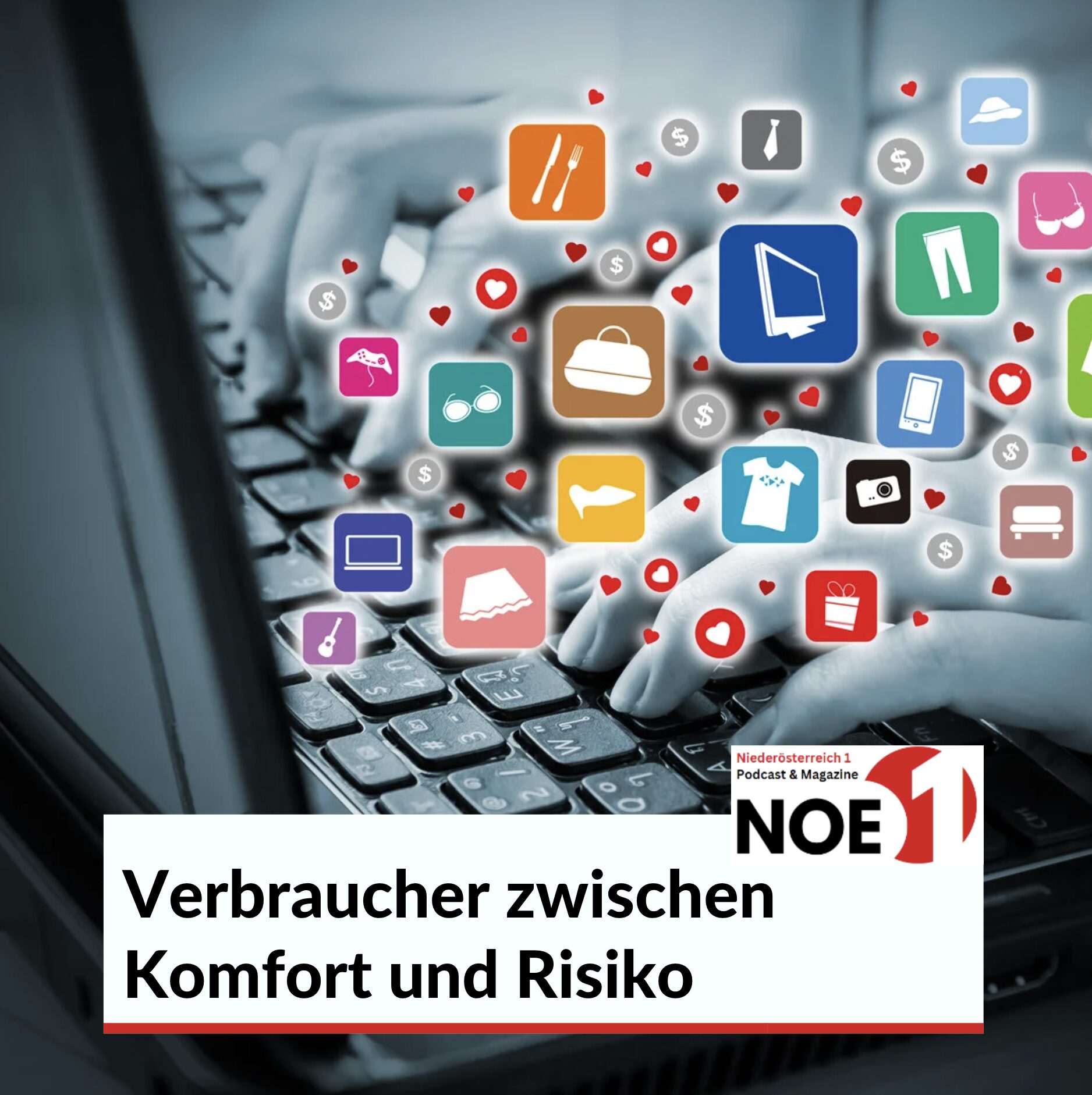 Verbraucher zwischen Komfort und Risiko