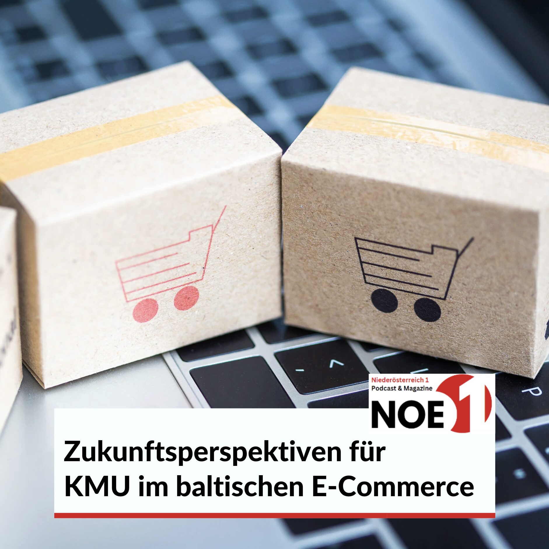 Zukunftsperspektiven für KMU im baltischen E-Commerce