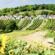Frühlingsausflüge in Niederösterreich