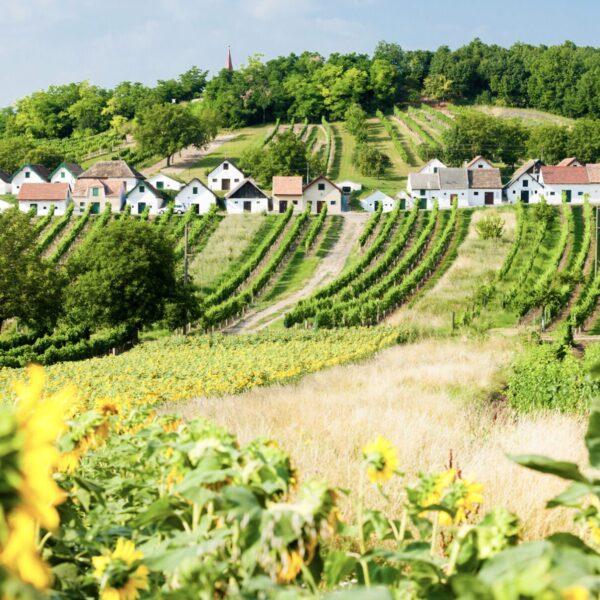 Frühlingsausflüge in Niederösterreich